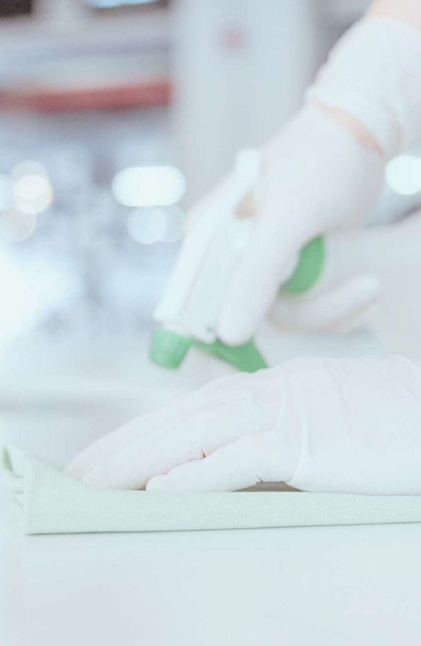 Servicios Personalizados