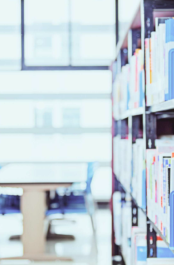 Limpieza de Universidades